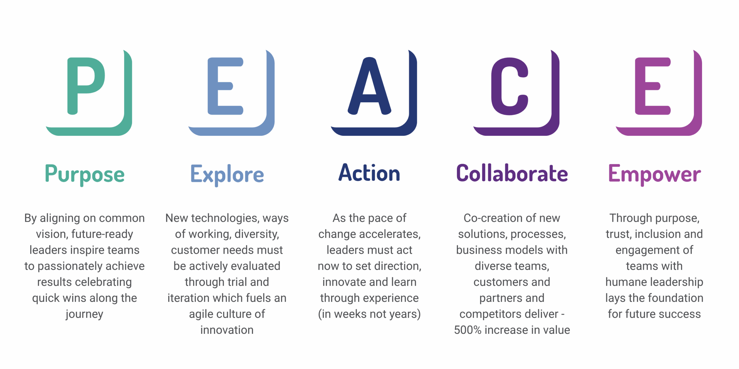 PEACE infographic website